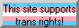 Button saying 'This website supports trans rights'